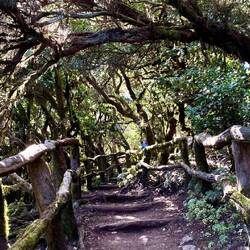 Schön angelegte Wege