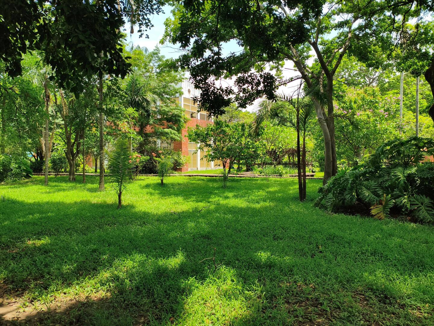 Botanischer Garten aka "Die Moscito-Zucht"