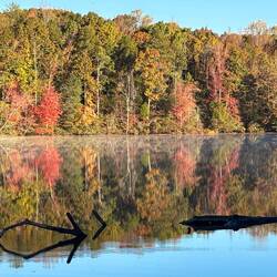 Arrow log in the lake