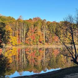 The reflection on the lake in the morning was amazing.