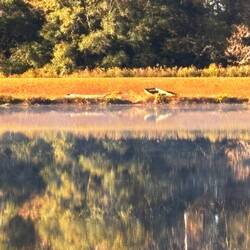 Boat on the far side of the lake