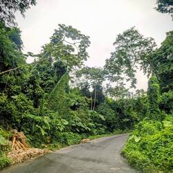 Ab in die Berge Guatemalas