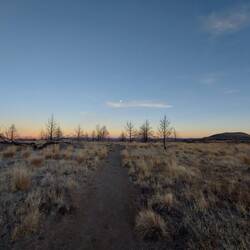 Der Trail im Wettlauf mit der Dunkelheit.