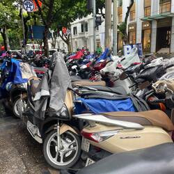 They take over the sidewalks