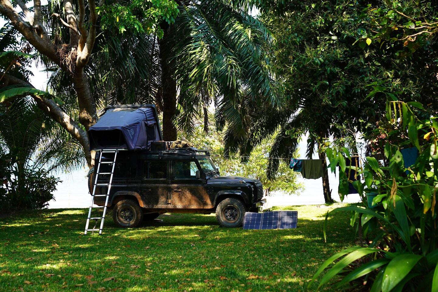Camp unter Palmen und Zimtbaum