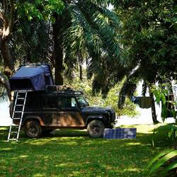 Camp unter Palmen und Zimtbaum