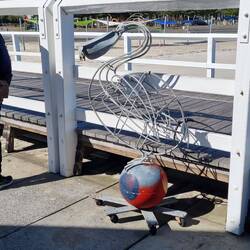 Mr Pelican, collecting fir the jetty preservation.
