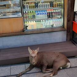 ..... Hinten anstellen