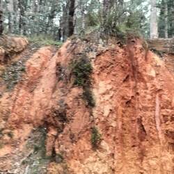 Groeit hier tegen aan