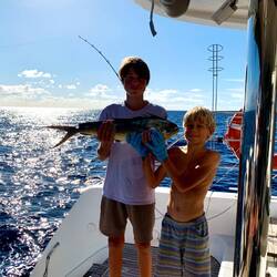 Der erste Fang des Tages- ein Mahi mahi