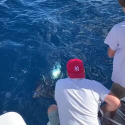 Die Spannung steigt..