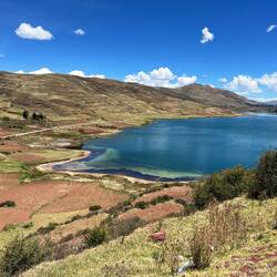 Back in the lakes at 3700m (Laguna Asnacocha)