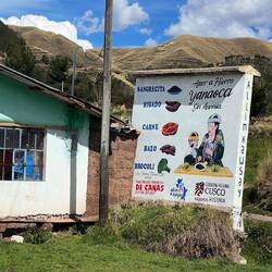 Peruvian heath advice: Alain needs to eat his Broccoli