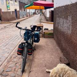 After Machu Picchu we, the bikes, and even the dogs, are in a state of semi-consciousness