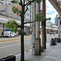 The city is neither colorful nor overly vibrant.