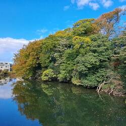 Moat surrounding the park.