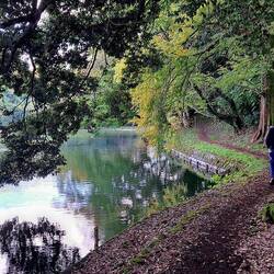 We found a nice little path along the water...