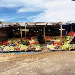 Common veggie stand ... beautiful colors and so organized. 👌🏼