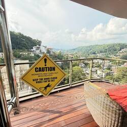 Mischievous monkey warning ⚠️