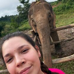 Die älteste Kuh - ca 60 Jahre alt