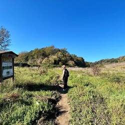 10 km - or less - to St Peters