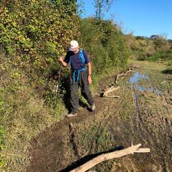 The park had obstacles