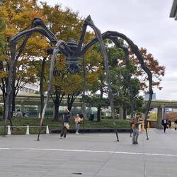 Riesenspinne "Maman" von Luise Bourgeois