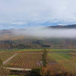 Men ret hurtigt klarede det op og landskabet viste alle sine vinmarker frem