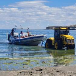 Nein, es gibt keine Walbesichtigungstour