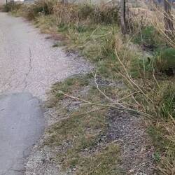 Endlich mal ein Stück Asphalt 👍