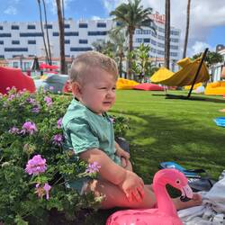 fein hier mit meinem 🦩