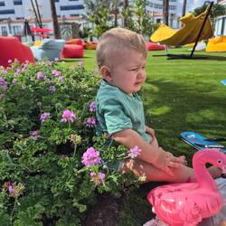 in den Blumen sitzt es sich am gemütlichsten