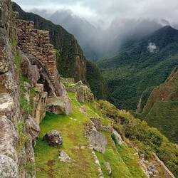 Extraordinary terracing work on the steep side of the site