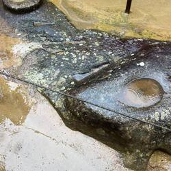 These cups are used as mirrors when filled with water for solar astronomy