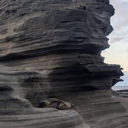 In fact, they all do