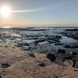 Every rockpool was filled with possibilities