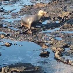 Except this curious lady perhaps