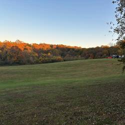 Light from the setting sun