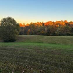 Light from the setting sun