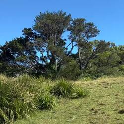 Geen verkeerd begin! In de verte zie je Wollongong