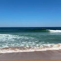 Als de camera naar links beweegt, zie je ze links meezwemmen met de golf