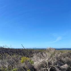 Sydney (heel erg in de verte)