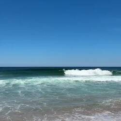 Daar gaan de dolfijnen! De zwarte, glimmende vinnen die buigend uit het water komen