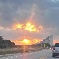 Is this why the precinct is called Orange Beach