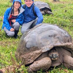 Every second rock was a tortoise
