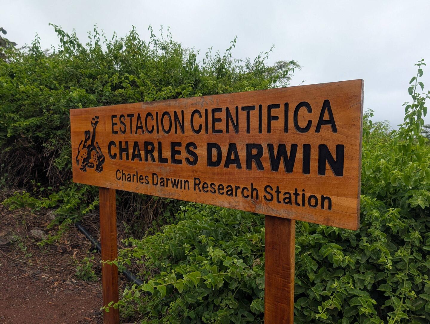 A short bus ride from the Puerto