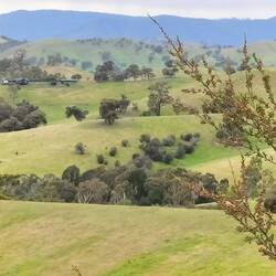Geweldig uitzicht... Oostenrijk -achtig