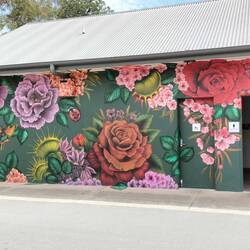 Veel openbare toiletten