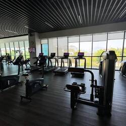 wieder allei.....🏋🏽‍♂️🏋🏽‍♂️