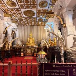 Golden Buddha from Thailand, other Buddhas from Indonesia and Malaysia.